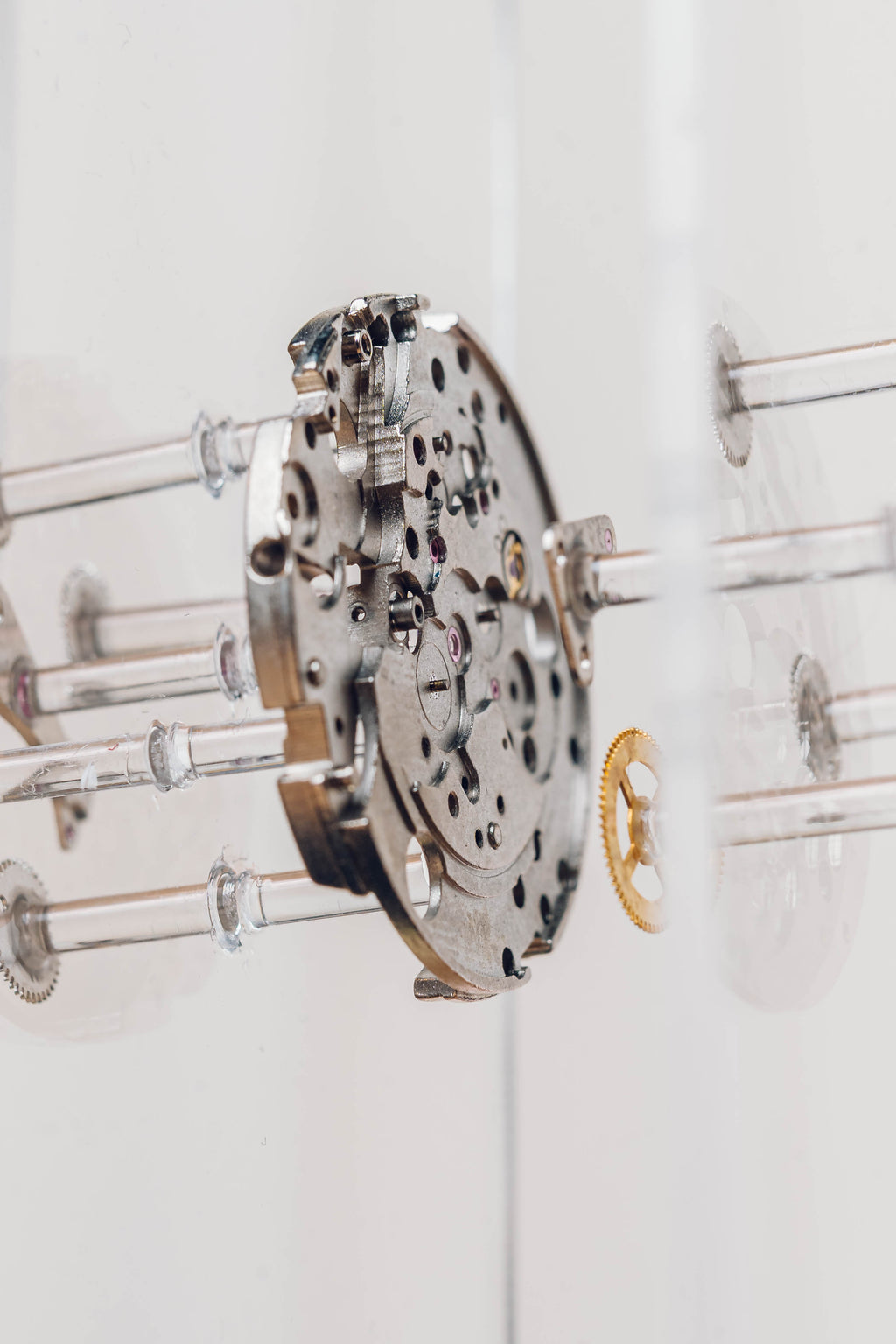 DT-08 Rainbow Special Edition