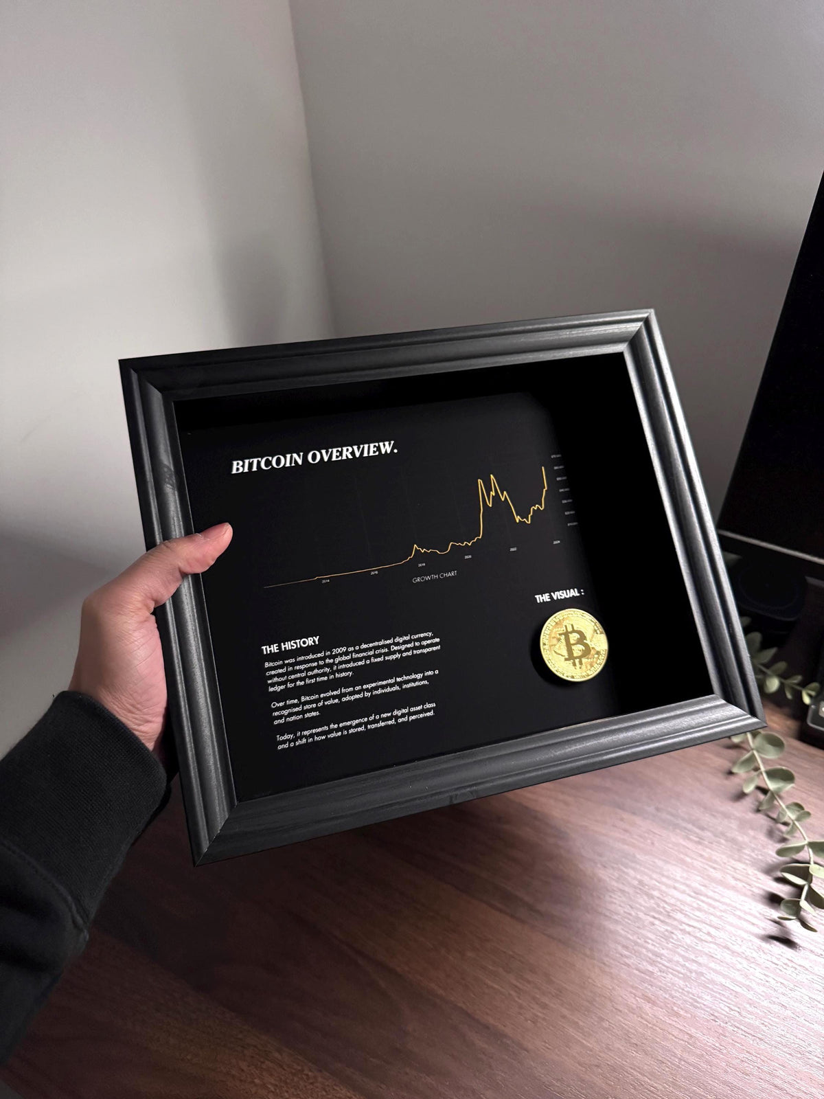 Bitcoin Overview